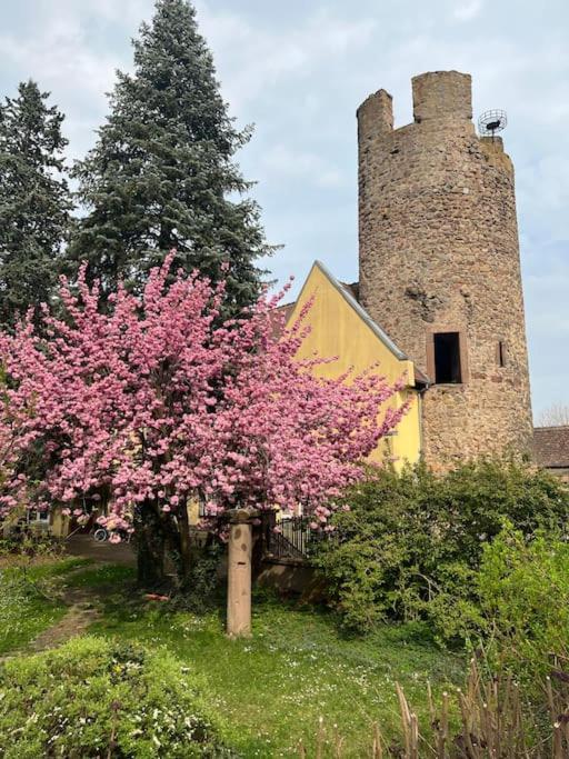 La Jolie Maison Bleue, Au Coeur De L'Alsace Kaysersberg-Vignoble Buitenkant foto