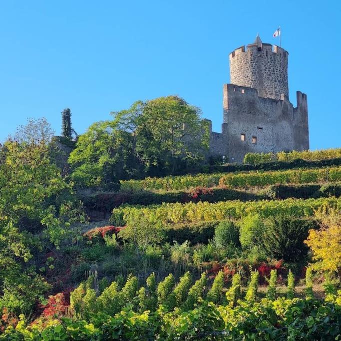 La Jolie Maison Bleue, Au Coeur De L'Alsace Kaysersberg-Vignoble Buitenkant foto