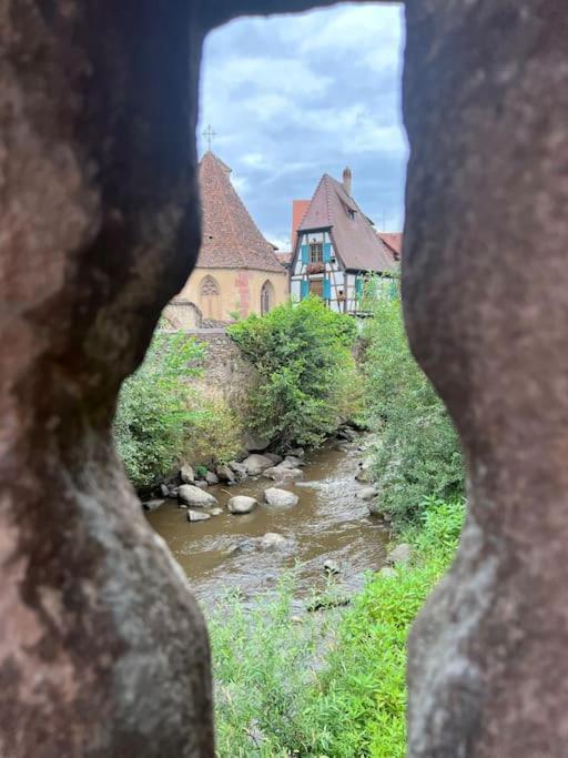 La Jolie Maison Bleue, Au Coeur De L'Alsace Kaysersberg-Vignoble Buitenkant foto