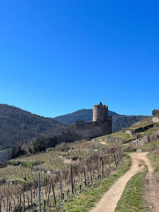 La Jolie Maison Bleue, Au Coeur De L'Alsace Kaysersberg-Vignoble Buitenkant foto